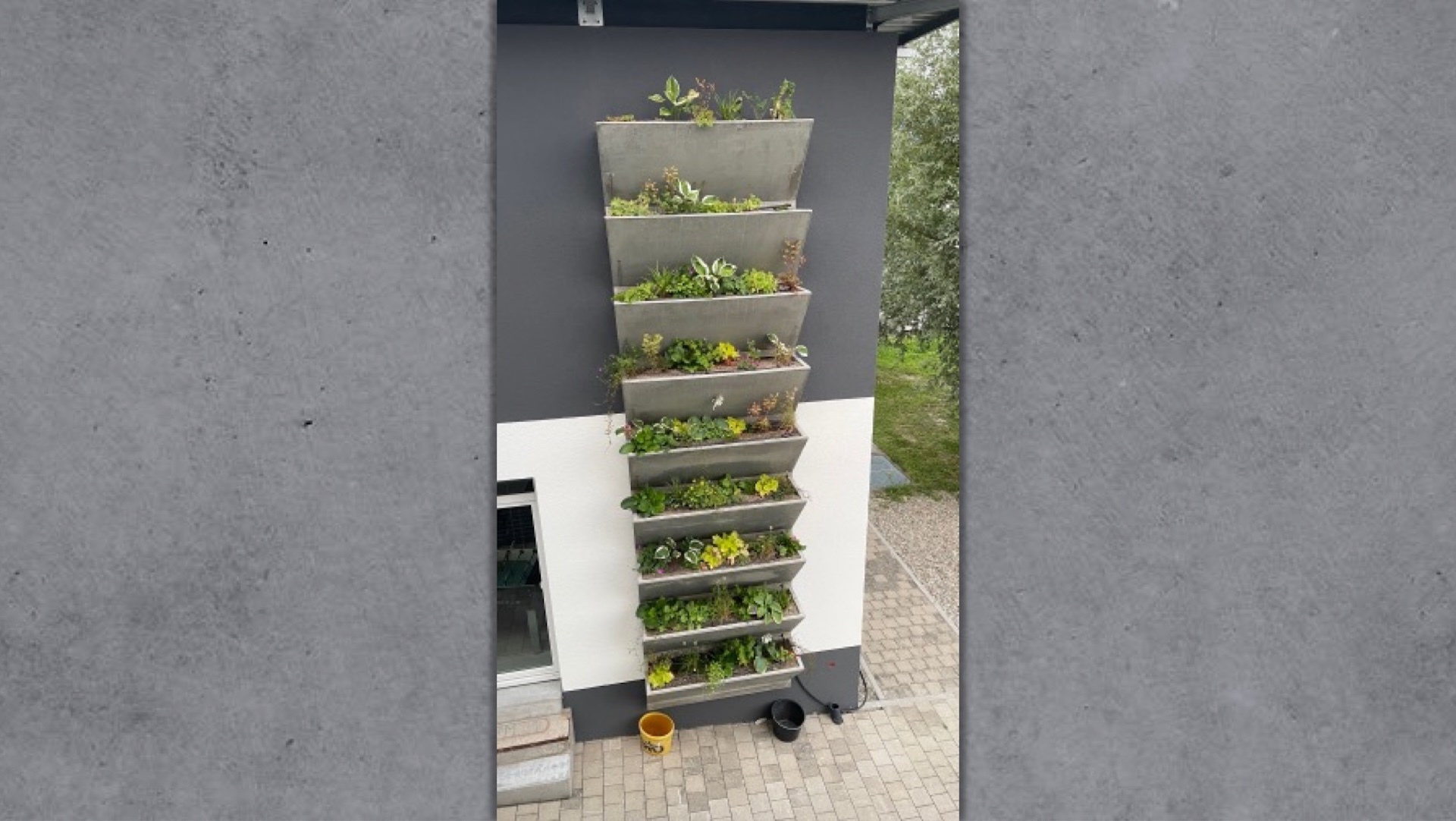 Naturfassade Prototyp